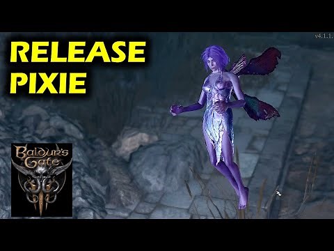 What Happens if you Release the Pixie | Baldur's Gate 3