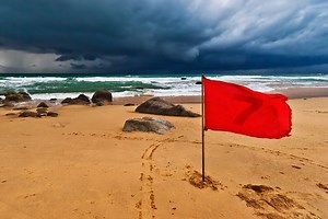 Dealing with Insurance Adjusters: What Are Your Rights?