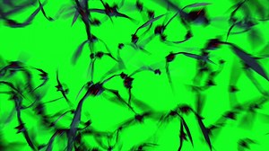 Download Scary bats flying with green screen background free video for free