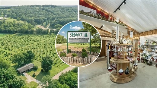 'Iconic' Christmas Tree Farm in Aptly Named Locale Hits the Market for $2.2 Million (but Festive Inventory Will Cost You Extra)