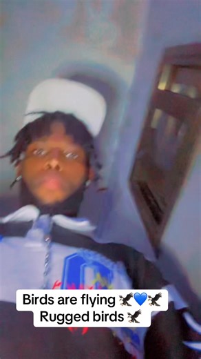 Discover the Beauty of Aviary Birds in Flight