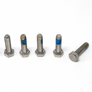 [Hot Item] Stainless Steel Hexagon Head Screws Anti-Loose Nylok Bolt