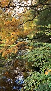 A perfect day for an Autumn walk - and what a perfect location, a path along the River Nidd with incredible views of the Victorian Castlestead mansion in the heart of Nidderdale ❤ | The Northern Echo