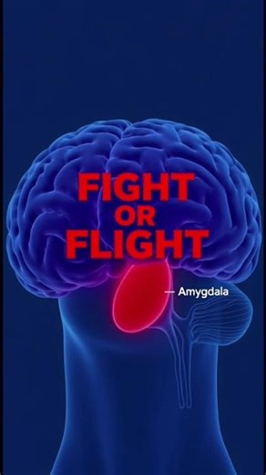 Sleepwalking: Why You Should NEVER Wake a Sleepwalker