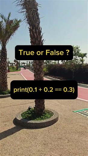 Why 0.1 + 0.2 ≠ 0.3 in Python? #ai#pythonbeginner#stringtrick#tips