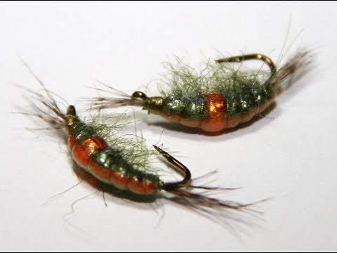 Fly Tying - Pregnant Scud
