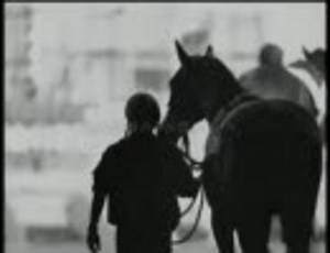 【CM】 2005 JRA ブランド広告 デビュー編