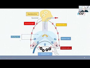 Predicting Pmus and Transpulmonary Pressure with Endo-Expiratory Testing