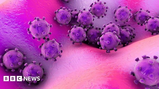 New virus in China 'will have infected hundreds'