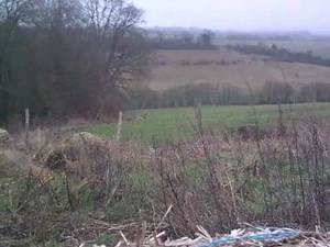 Tir d'une pie à 225m avec baikal ij 18 cal222 remington (magpie hunting)