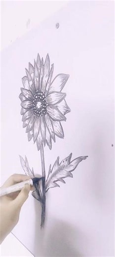 Easy Aster flower 🌸🌸🌸 drawing, Drawing ✨️✨️✨️ of aster flower #flowerdrawing #easyideas #artwork
