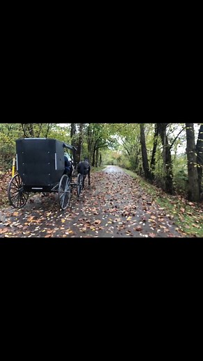 this trail in Ohio is heavily used by the Amish #fyp #foryoupage #amish #amishtiktok #ohio #ohiocheck #nowyouknow #ohiothings #amishlife #horses #life