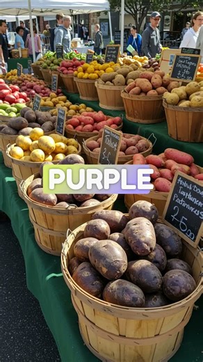 Five Foods Prevent and Starve Cancer