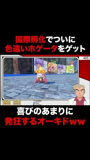 【ポケモンSV】色違い『ホゲータ』を国際孵化でついに手に入れたオーキド博士の発狂がヤバすぎるｗｗ【スカバイ】#Shorts
