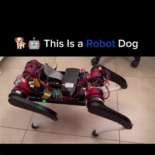 It sits, it stands, and moves with smooth, natural motion — blending advanced robotics with lifelike behavior in one smart machine. #RobotDog #Robotics #AI #Automation #FutureTech