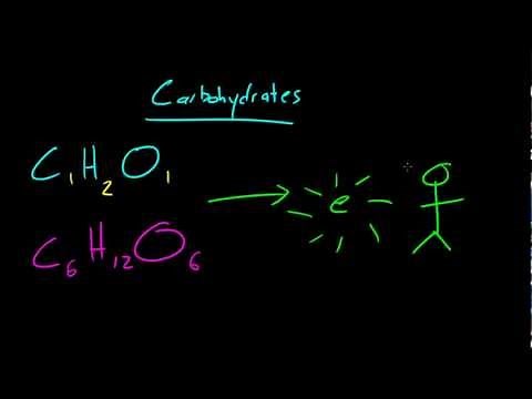 Biology Lecture - 7 - Carbohydrates