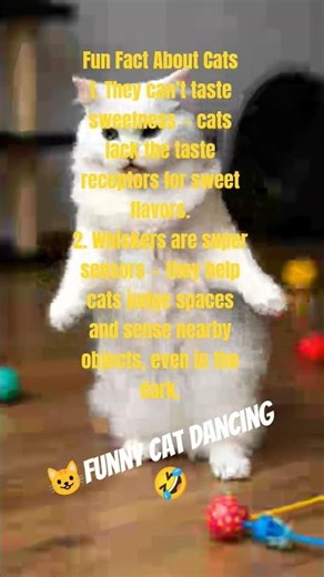 Fun Fact ✨ 😺#viralvideo #cutecat #funnycats #cat #shorts #trendingnow #trendingshorts
