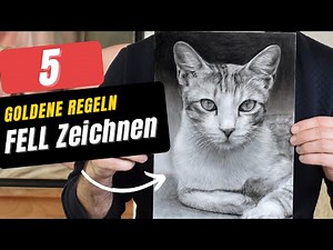 Fell Zeichnen - Die 5 Goldenen Regeln