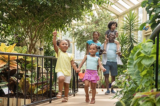 Fantasy In Lights | Callaway Resort & Gardens | Pine Mountain