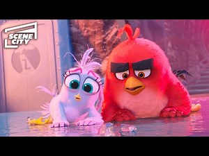 Silver's Plan to Stop Zeta Fails?! | The Angry Birds Movie 2 (Jason Sudeikis, Rachel Bloom)