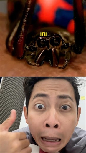 Behind the sceen film movie challenge Spiderman #algorithm #algoritma #collab #reaction #spiderman