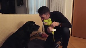 223K views · 8.5K reactions | Dialogo con Zara su Renzi. Farà cadere il governo sì o no? In questo video la risposta. ---------------- Il libro LA CONGIURA DEI PEGGIORI lo ha scritto Zara in realtà. Quindi è bellissimo. Lo trovi anche qui  https://bit.ly/LaCongiuraDeiPeggiori | Andrea Scanzi | Facebook