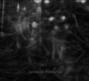 Dark Opus - Ignominious Fundamentals