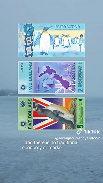 Foreign Currency and Coin on TikTok