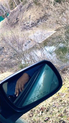 FISHING IN SNAKE INFESTED WATERS 😳😳#fyp #xlbully #puppy #doglife #trendingshorts