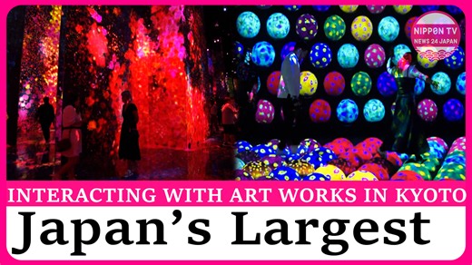 177K views · 2.1K reactions | An immersive art museum called “teamLab Biovortex Kyoto” opens near JR Kyoto Station, featuring artworks with which visitors can interact. Watch more on https://www.youtube.com/c/NipponTVNews24Japan | Nippon TV News24 Japan | Facebook
