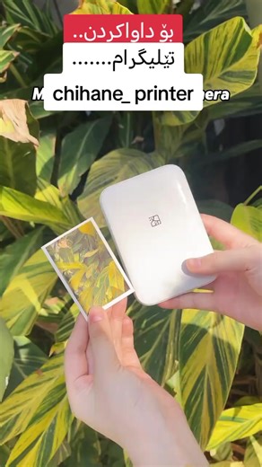 HPRT MT53 Printer Guide and Features