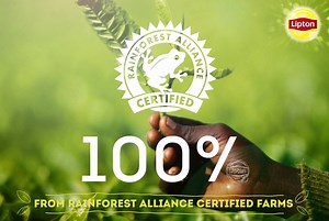 We’re proud to source 100% of our tea from Rainforest Alliance Certified Estates. We’re waking up to what really matters by giving back to the community, improving the social, economic and environmental impacts of tea production. | Lipton