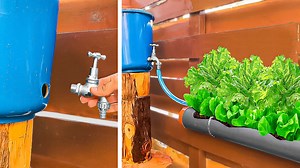 40K views · 92 reactions | Gardening hacks: clever inventions for easy gardening routine ☘ | 5-Minute Crafts Family | Facebook