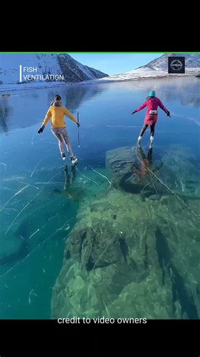 Fish ventilation 🎣