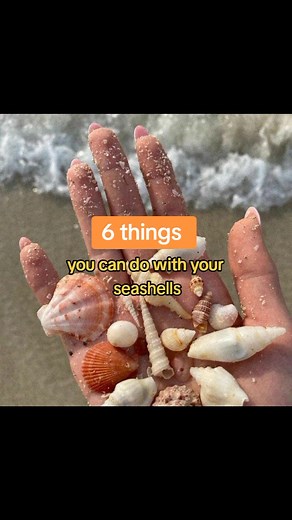 Seashells DIY Ideas: Creative Ways to Use Seashells at Home