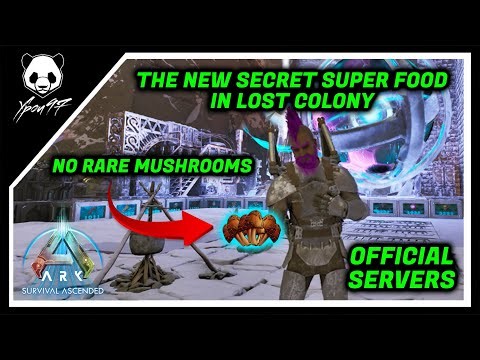 The New Secret Super Food In Lost Colony - No Rare Mushrooms | ARK: Survival Ascended