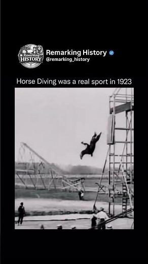Horse Diving was REAL !!!