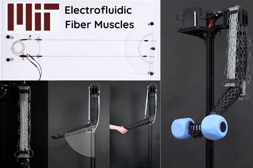 What If Robots Had Muscles Instead of Motors? MIT’s Fiber Actuators