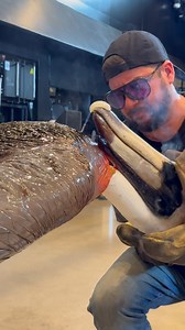 54M views · 10K reactions | We are back for round two @chryslermuseum putting together another beautiful glass pelican for the @elizabethriverproject ❤️ Special thank you to my amazing team @egonglass @neffel @journey_with_glass @rvaglassdesign and the Chrysler staff for making it possible. #art #glassart #glassblowing #artcollector #artoftheday #artbasel #artgallery #bird #pelican #birdwatching @bbbalaskan @kuglercolors | Garmezy Glass | Facebook