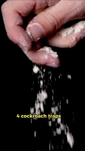DIY Cockroach Traps: Homemade Solutions for a Pest-Free Home