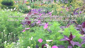 20K views · 349 reactions | Want to make your garden a little friendlier to wildlife? Here's how you can build your own bee hotel in minutes | National Trust South West | Facebook