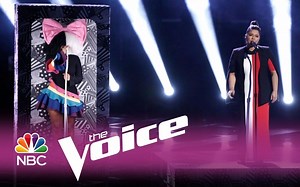 【The Voice】Sia联手Brooke Simpson美国之声决赛表演《Titanium》