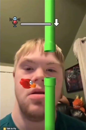 flappy bird voice command