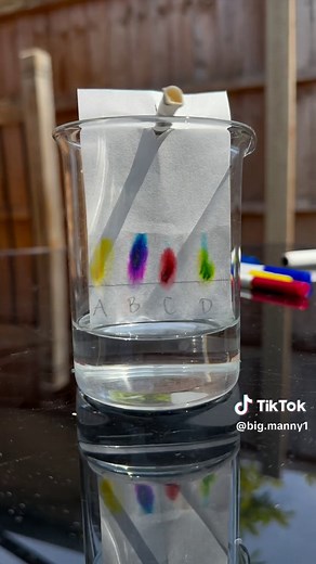Understanding Chromatography: Ink Separation Experiment