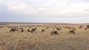 So much life... | Great Plains Conservation