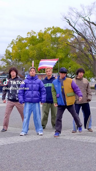 最近の踊る動物界隈のトレンド