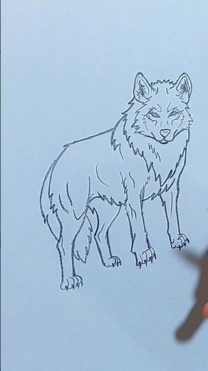 How to Draw a Wolf Easy | Step by Step Drawing Tutorial