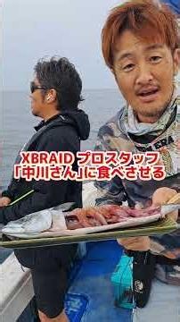 アニサキスなんて怖くない🤤 #広島たにさんのぼれやびゃー動画 #釣り #海人 #fishing #漁民 #漁師 #サバの刺身 #アニサキス