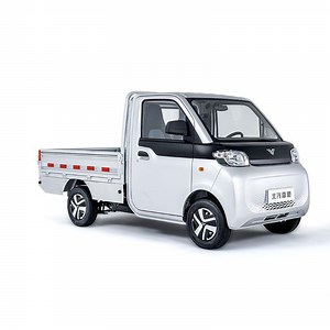 [Hot Item] Mini Electric Vehicle Micro Cargo Truck for Urban Logistics