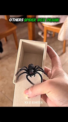 others spider box prank vs the last one 😱🤯